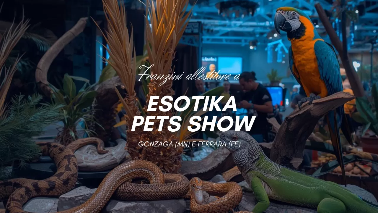 https://www.franzini.info/upload/esotika-pets-show-3563-1280x720.webp
