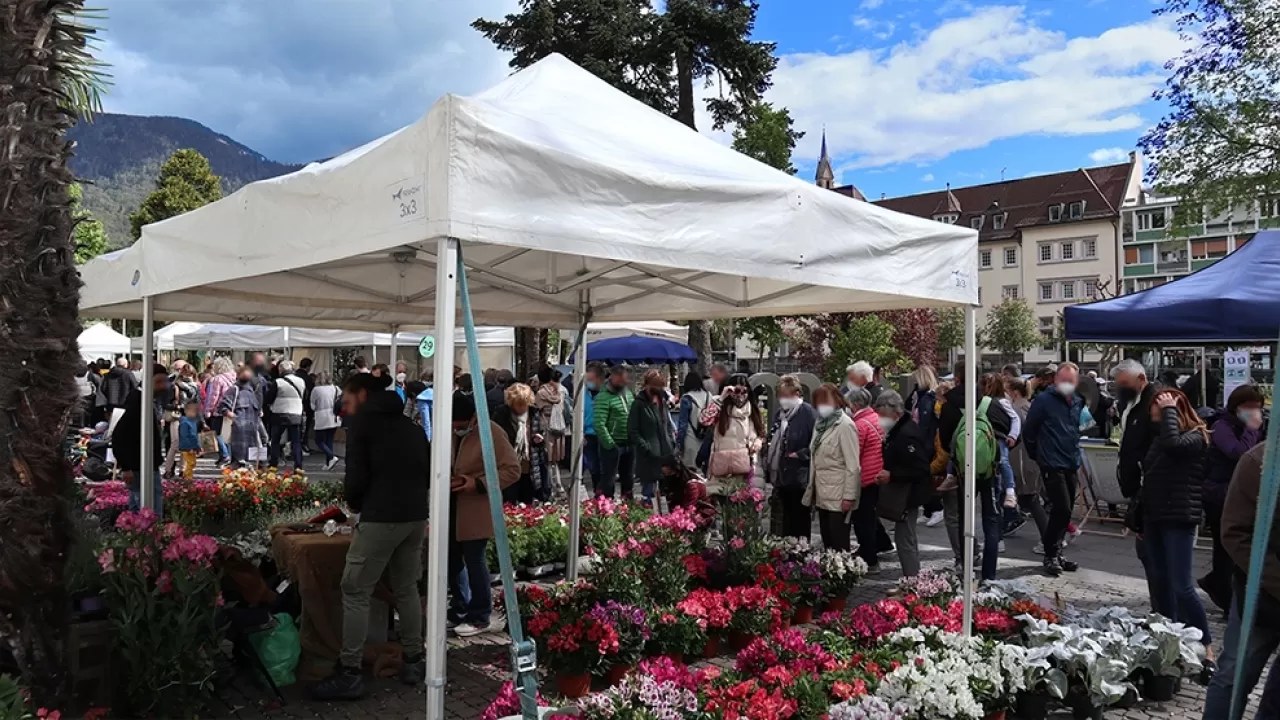 gazebo estensibile